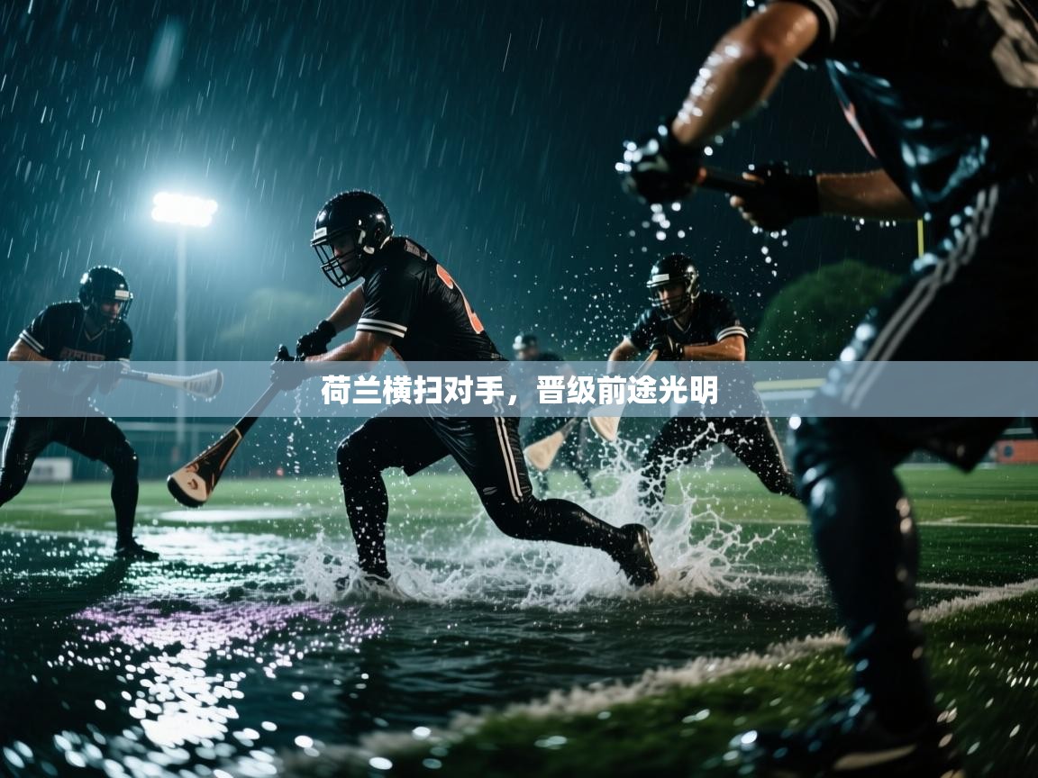 荷兰横扫对手，晋级前途光明  第1张